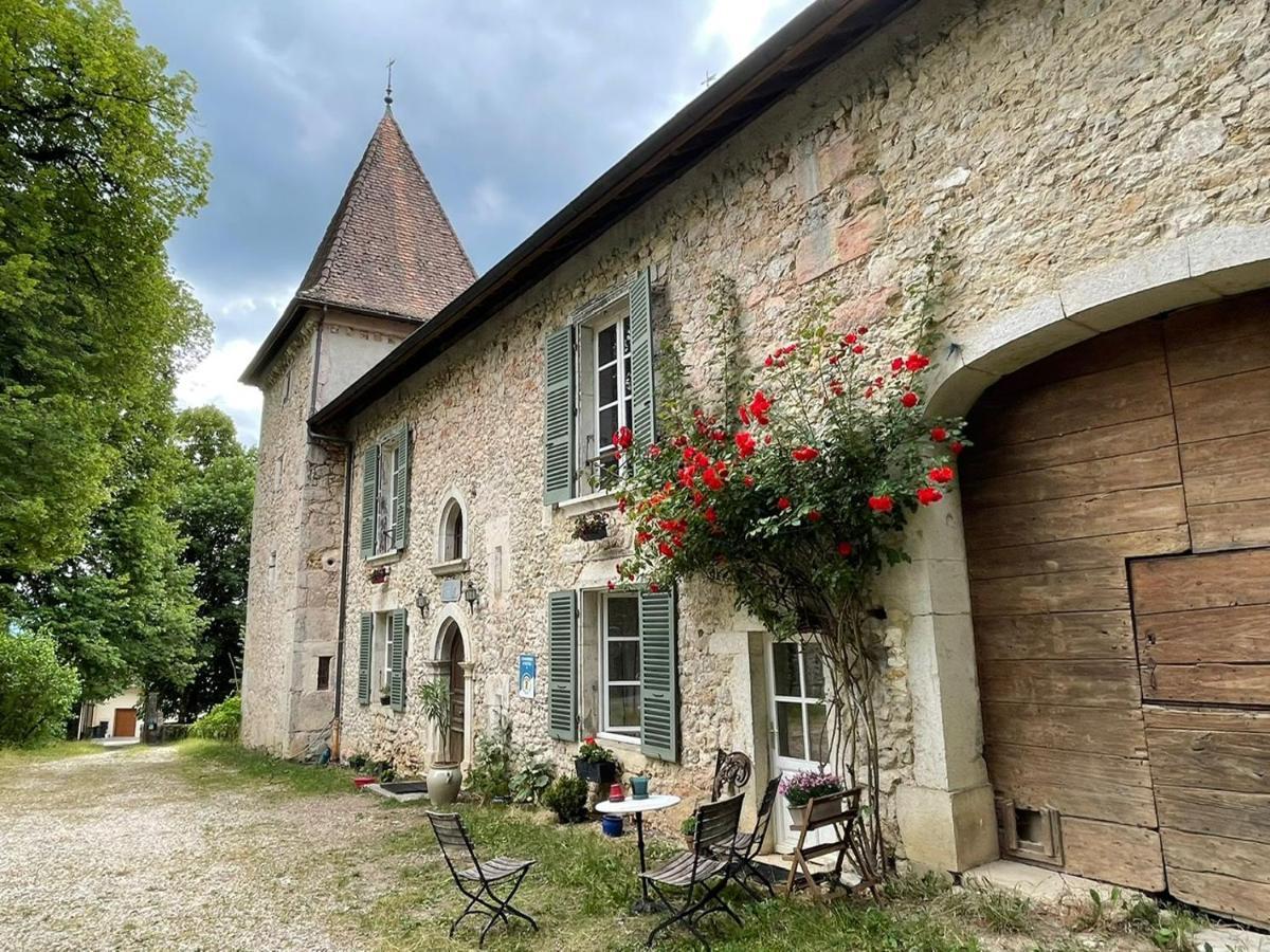 Domaine Du Tres-Haut - Chateau De Montanges Exterior photo